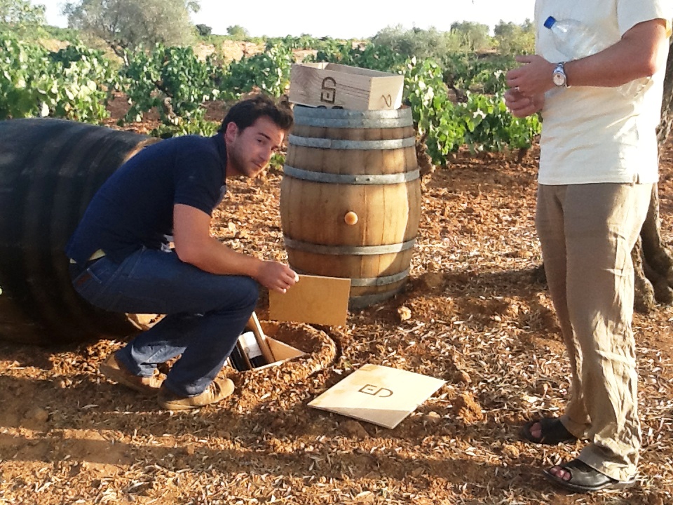 Alberto_Pedrón_Viña